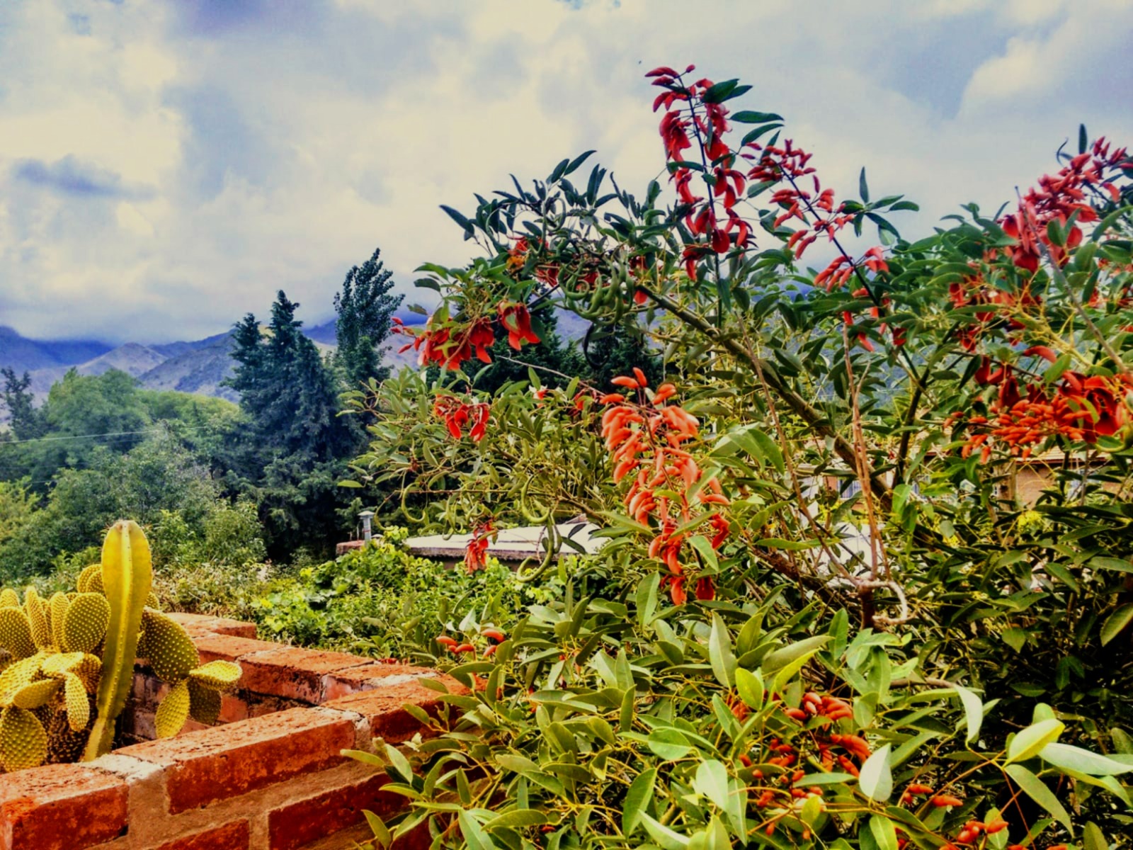 Vista desde la casa